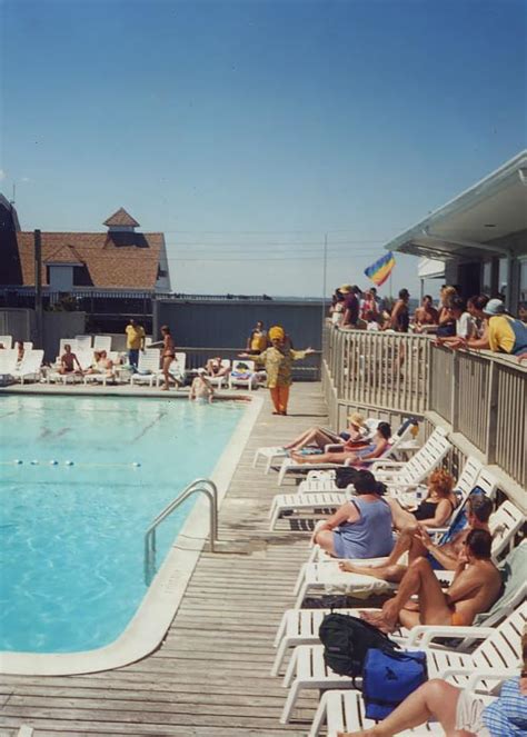 While the majority of people stay in vacation sharesrentals, there is one gay hotel in The Pines and two gay resorts in Cherry Grove. . Cherry grove fire island hotels